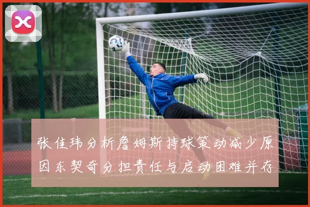 张佳玮分析詹姆斯持球策动减少原因东契奇分担责任与启动困难并存